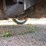 #10642-•-1959-buick-lesabre-(has-nm-title)-(mosinee,-wi)-image-20