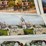 #40296-•-old-pictures/stereoscope-cards-(45)-image-19