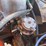 #11141-•-1976-datsun-pickup-(tn-title)-(mosinee,-wi)-image-76