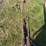 john-deere-14-image-16