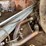 #7474-•-1958-cadillac-(has-wi-title)-(arpin,-wi)-image-38