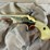 #23-•-set-of-colt-lady-derringer-pistols-image-7