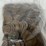 #40276-•-(400)-wheat-pennies-mixed-dates-image-10