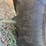 john-deere-4010-image-5