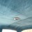 #9073-•-1954-buick-super-(has-mn-title)-(hutchinson,-mn)-image-44