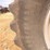 2013-case-ih-steiger-500-hd-image-6