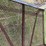 l3---6x4x6-deer-stand-image-6