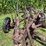 john-deere-14-image-31