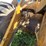 2015-caterpillar-914k-image-42