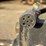 2011-ditch-witch-fx60-image-8