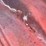 #1052-•-1970-camaro-lt-(has-nm-title)-(located-in-elephant-butte,-nm)-image-74