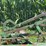 john-deere-14-image-10