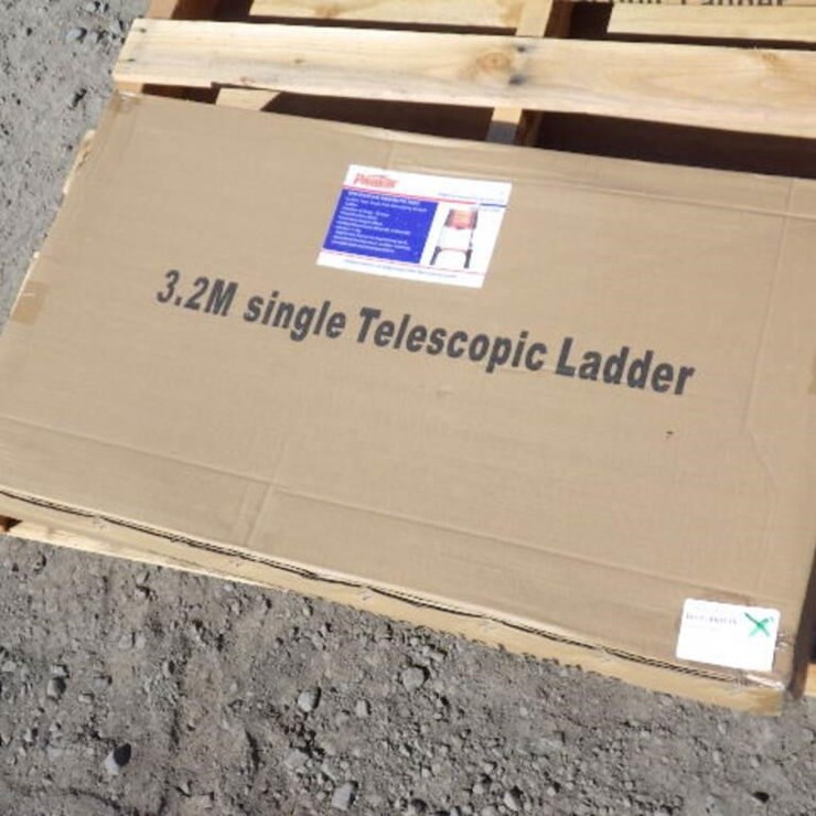 Telescopic Ladder