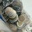 #40052-•-canada-and-foreign-coins-image-4