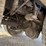 2013-international-durastar-4300-image-8