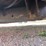 #10642-•-1959-buick-lesabre-(has-nm-title)-(mosinee,-wi)-image-19