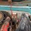 #11991-•-1962-gmc-pickup-(has-tn-title)-(mosinee,-wi)-image-62