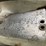 #7476-•-1956-cadillac-2-door-hardtop-(has-wi-title)-(arpin,-wi)-image-27