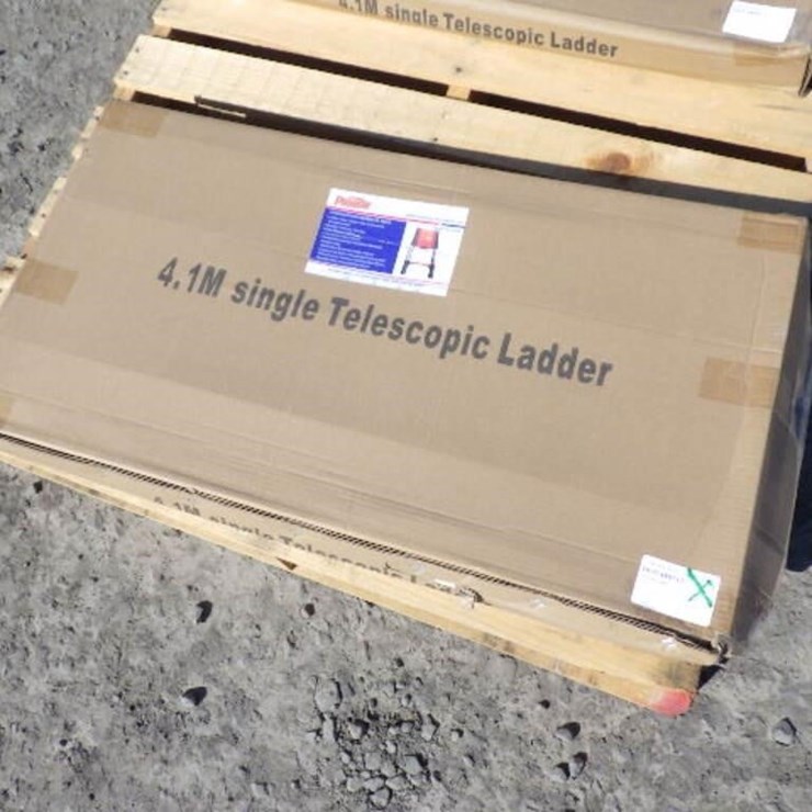 Telescopic Ladder