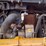 komatsu-d61ex-15e0-image-35