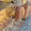 2004-caterpillar-d6r-xl-image-35