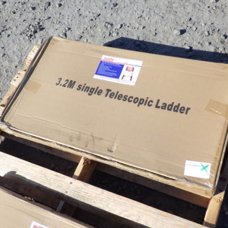 Telescopic Ladder