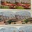 #40296-•-old-pictures/stereoscope-cards-(45)-image-14