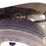 2003-mack-ch600-image-8