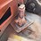#11990-•-1976-chevy-silverado-pickup-(has-id-title)-(mosinee,-wi)-image-61