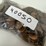 #40050-•-400-wheat-pennies,-mix-dates-image-4