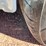 #10642-•-1959-buick-lesabre-(has-nm-title)-(mosinee,-wi)-image-15
