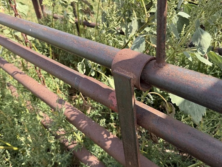 cattle-chute-8943-image-11