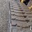 caterpillar-299d2-image-16