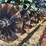 summers-mfg-supercoulter-plus-image-25