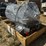 #42742-•-25m01-tidb-image-1