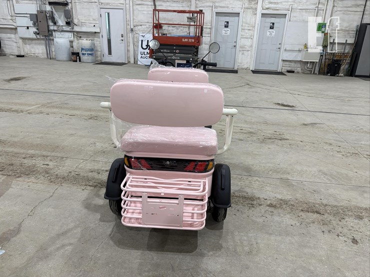 2026-irgc40-mini-golf-cart-#3-(pink)-10090-image-6