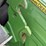 2021-john-deere-6155r-image-38