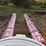 bourgault-950-image-8