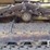 2003-deere-450h-lgp-image-29