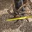 #2448-•-2015-kuhn-excelerator-8000-vertical-till-image-31