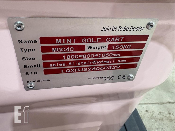 2026-irgc40-mini-golf-cart-#3-(pink)-10090-image-11