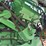 john-deere-s670-image-43