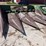 john-deere-444-image-3
