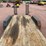 #62-•-lot-62-image-23