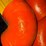 #40540-•-sprinkler-heads-and-various-grooved-couplings-image-13