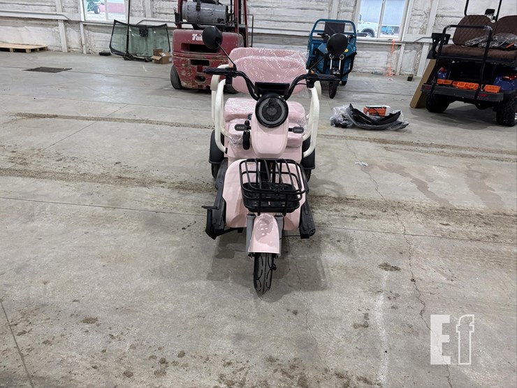 2026-irgc40-mini-golf-cart-#3-(pink)-10090-image-2