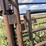 cattle-chute-8943-image-14