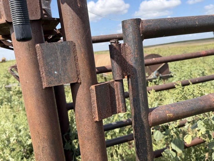 cattle-chute-8943-image-14
