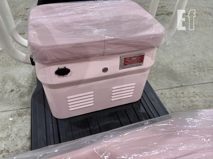 2026-irgc40-mini-golf-cart-#3-(pink)-10090-image-10