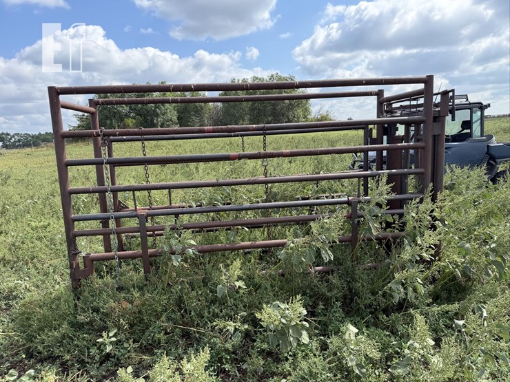 cattle-chute-8943-image-6